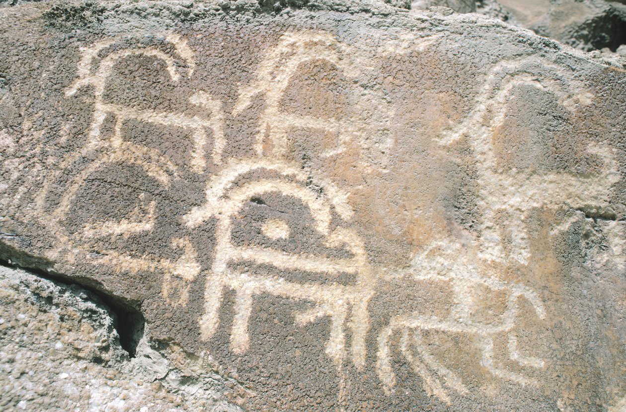 Skalní rytiny v údolí Hunza, poblíž archeologické oblasti Karimabad, Pákistán od Benjamin Baud