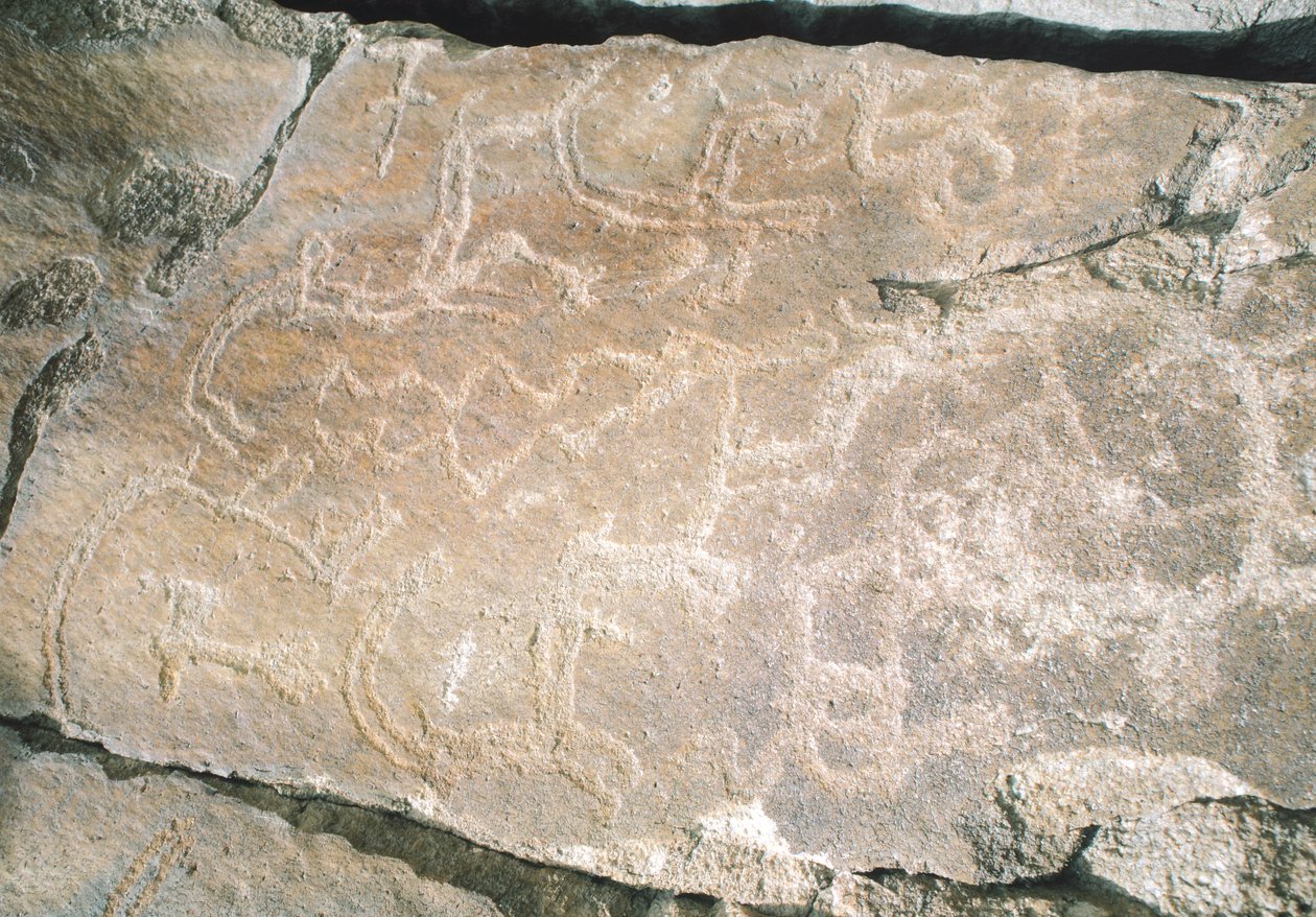 Skalní rytiny v údolí Hunza, poblíž archeologické oblasti Karimabad, Pákistán od William M. Timlin