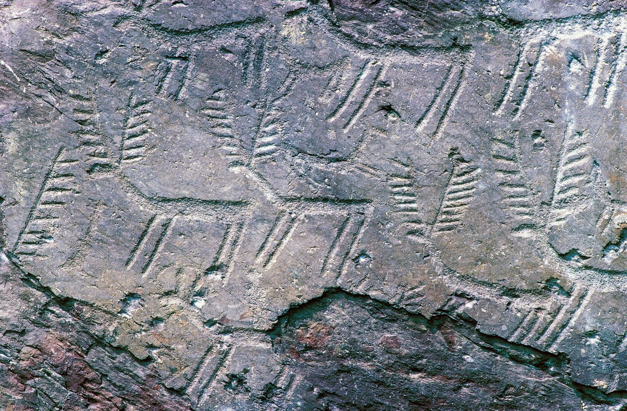 Skalní rytiny v Národním archeologickém parku Massi di Cemmo, Val Camonica (Seznam světového dědictví UNESCO od William M. Timlin