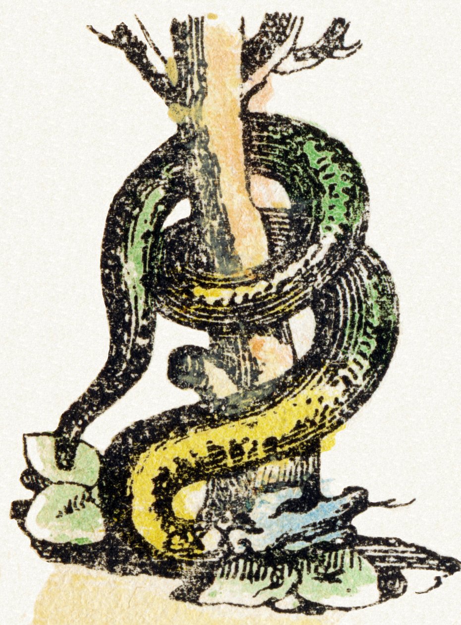 S - Serpent - Child Entertainment Alphabet c.1890 (litografie) od Unbekannt