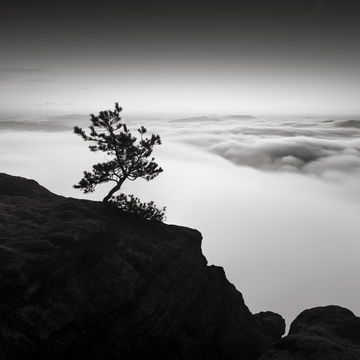 Království Saského Švýcarska, Německo, 2015 (černobílá fotografie) od Leopold Blonder