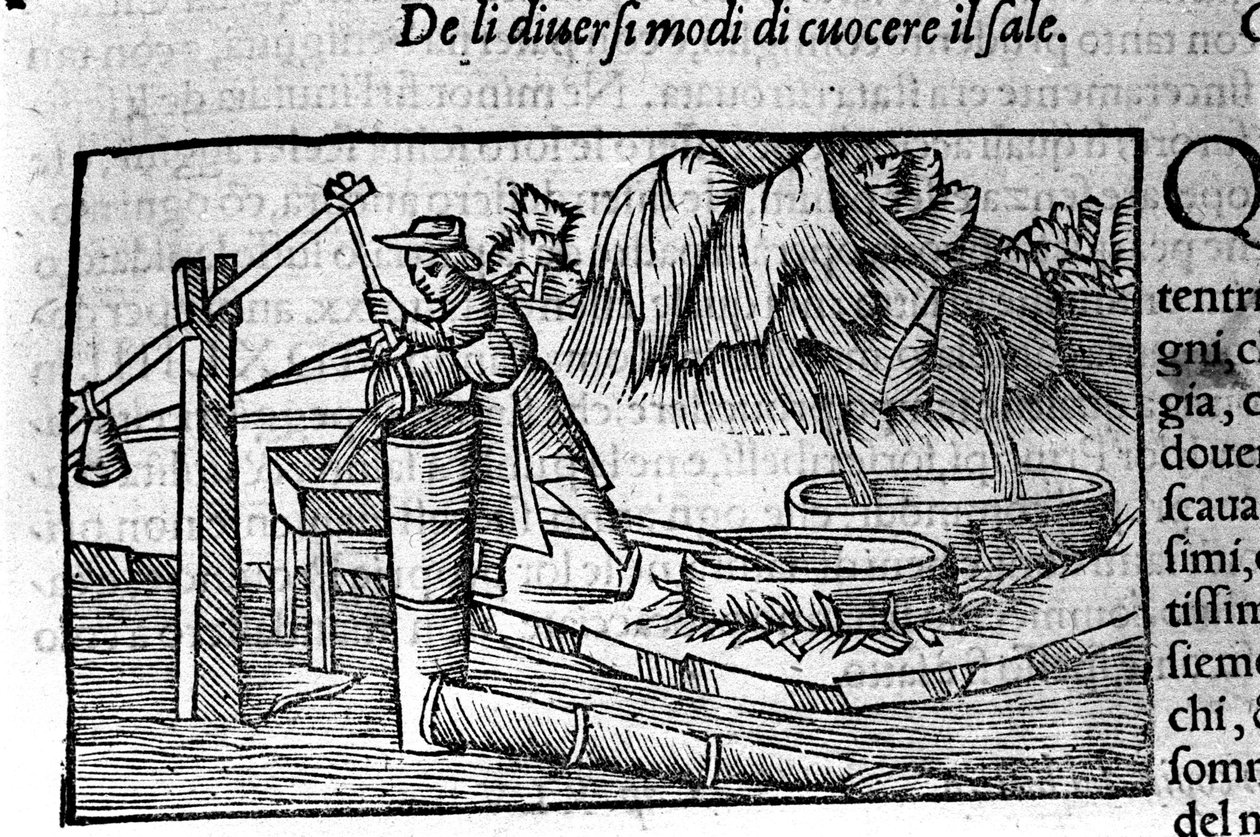 Výroba soli: vaření. Rytina Olause Magnuse (1490 - 1557), švédského náboženského a geografa, "Historie severního národa", Benátky od Unbekannt