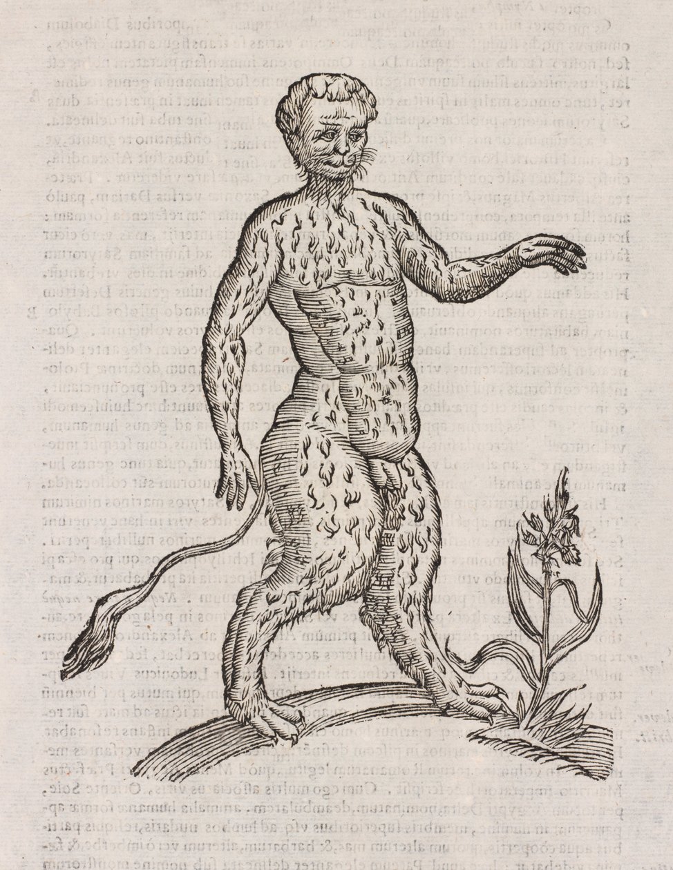 Satyrs jiný druh od Unbekannt
