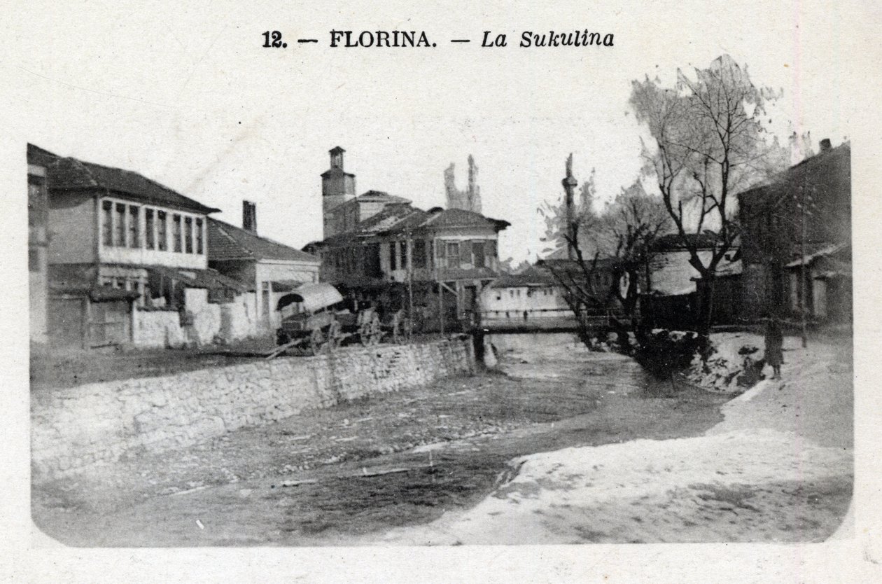 Srbsko, Florina (dnešní Řecko): pohled na Sukulina - Pohlednice 1914-1918 od William M. Timlin