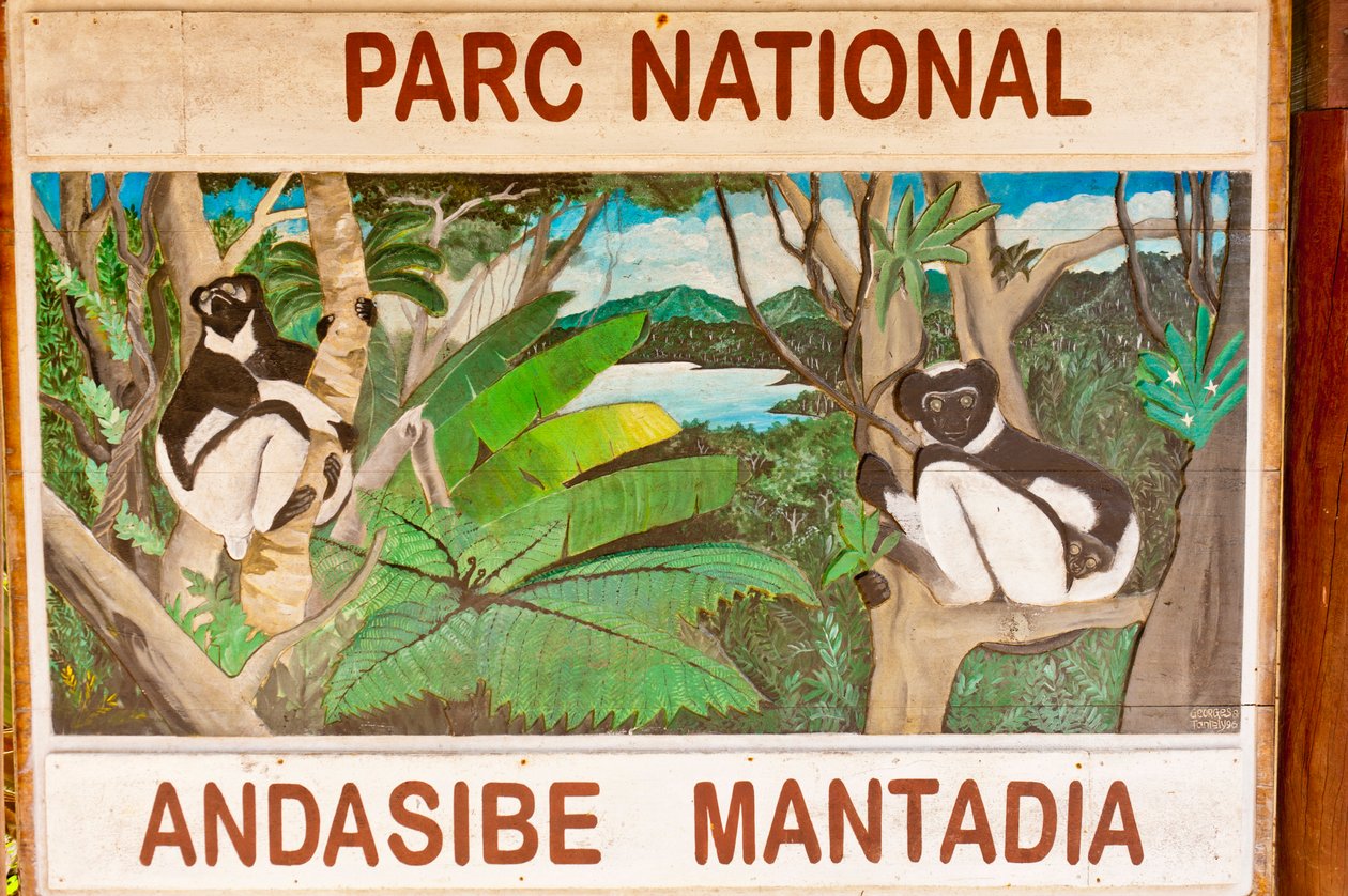 Znamení zobrazující lemury v džungli; Národní park Andasibe-Mantadia; Madagaskar; Afrika od Unbekannt