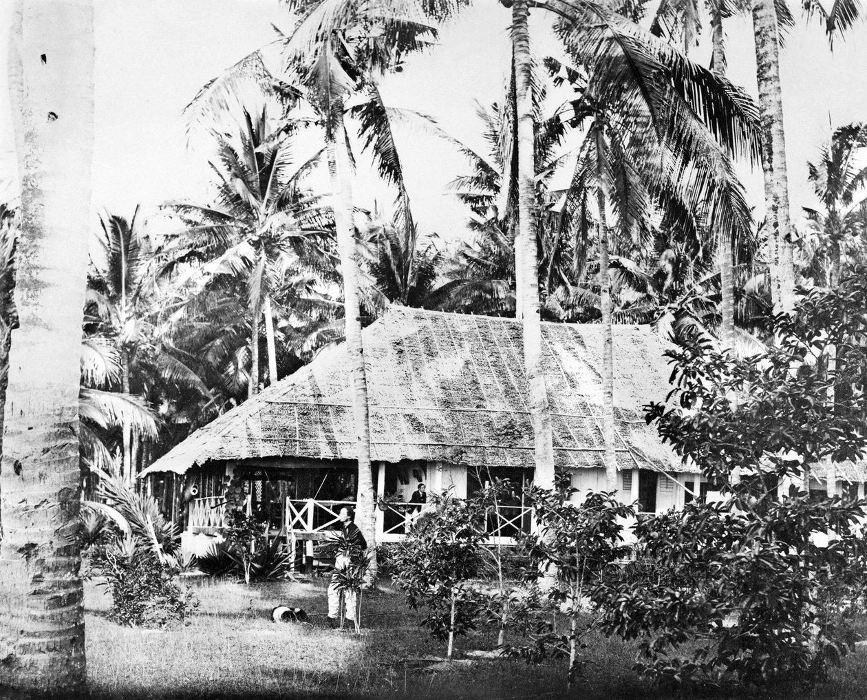 Singapur: Soukromý bungalov obklopený palmami. Singapur, c1875 od Unbekannt