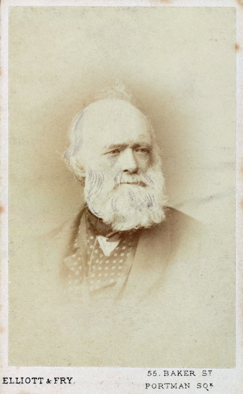 Sir Charles Lyell, anglický geolog, c1865-1875 od Unbekannt