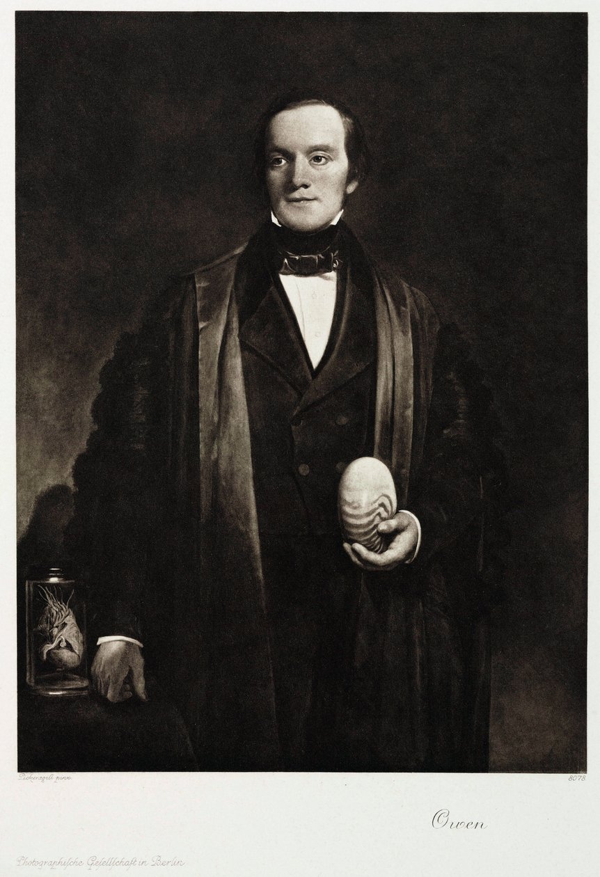 Sir Richard Owen, anglický přírodovědec a paleontolog, c 1845 od Unbekannt