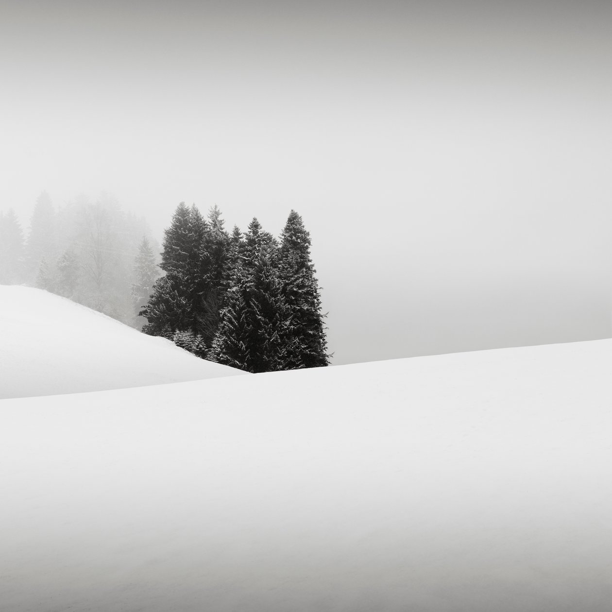 Snowytales Oasis, Bavorsko, Německo, 2013 (černobílá fotografie) od Leopold Blonder