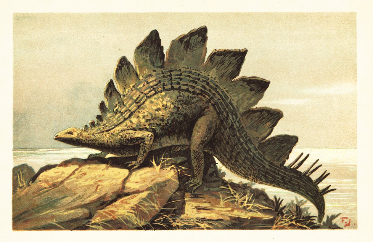 Stegosaurus, vyhynulý rod býložravého dinosaura. 1908 (litografie) od Unbekannter Künstler