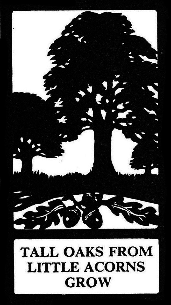 "Tall Oaks from Little Acorns Grow" od Unbekannt