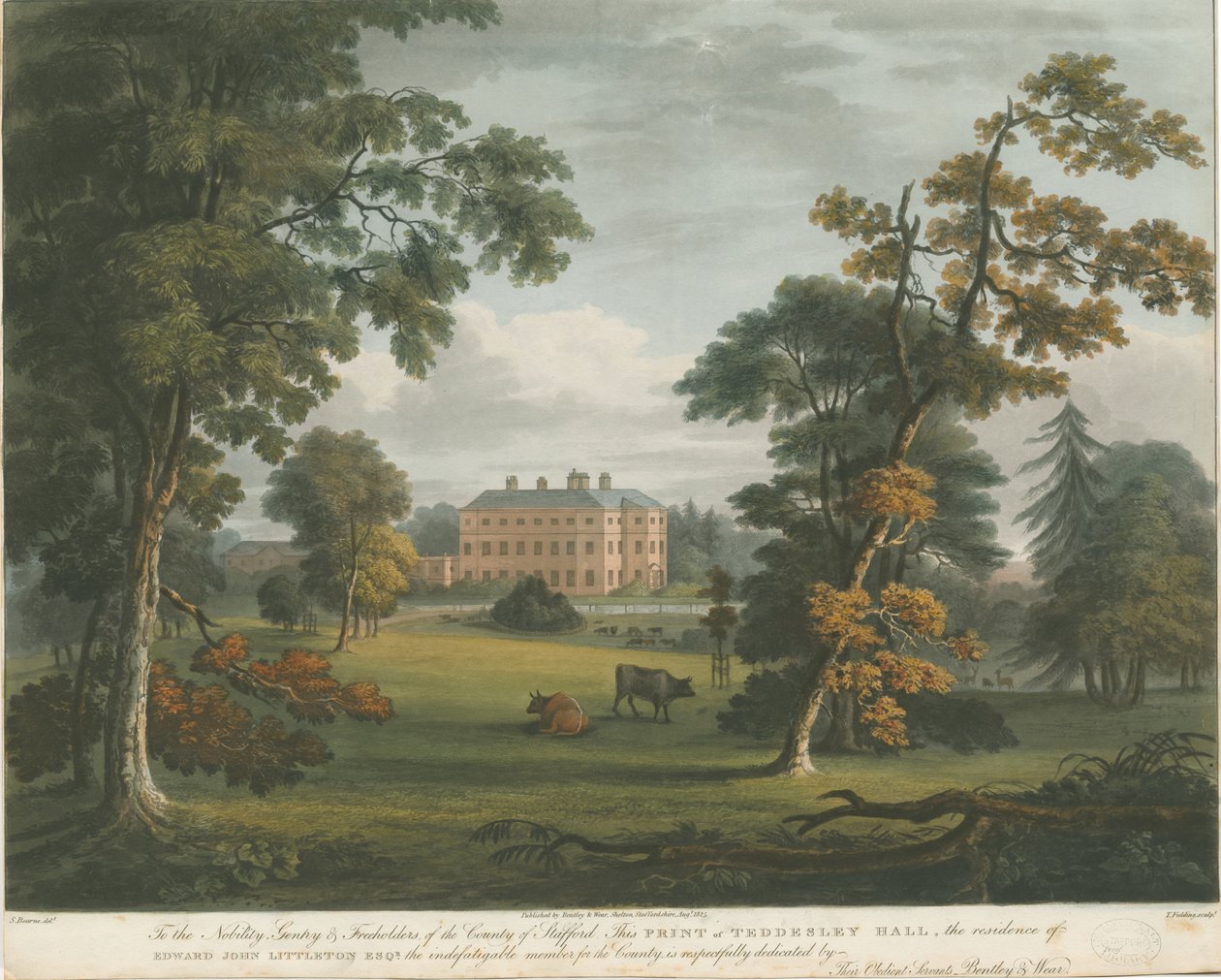 Teddesley Hall: barevná rytina akvatinty, nd [c 1825] od Unbekannt