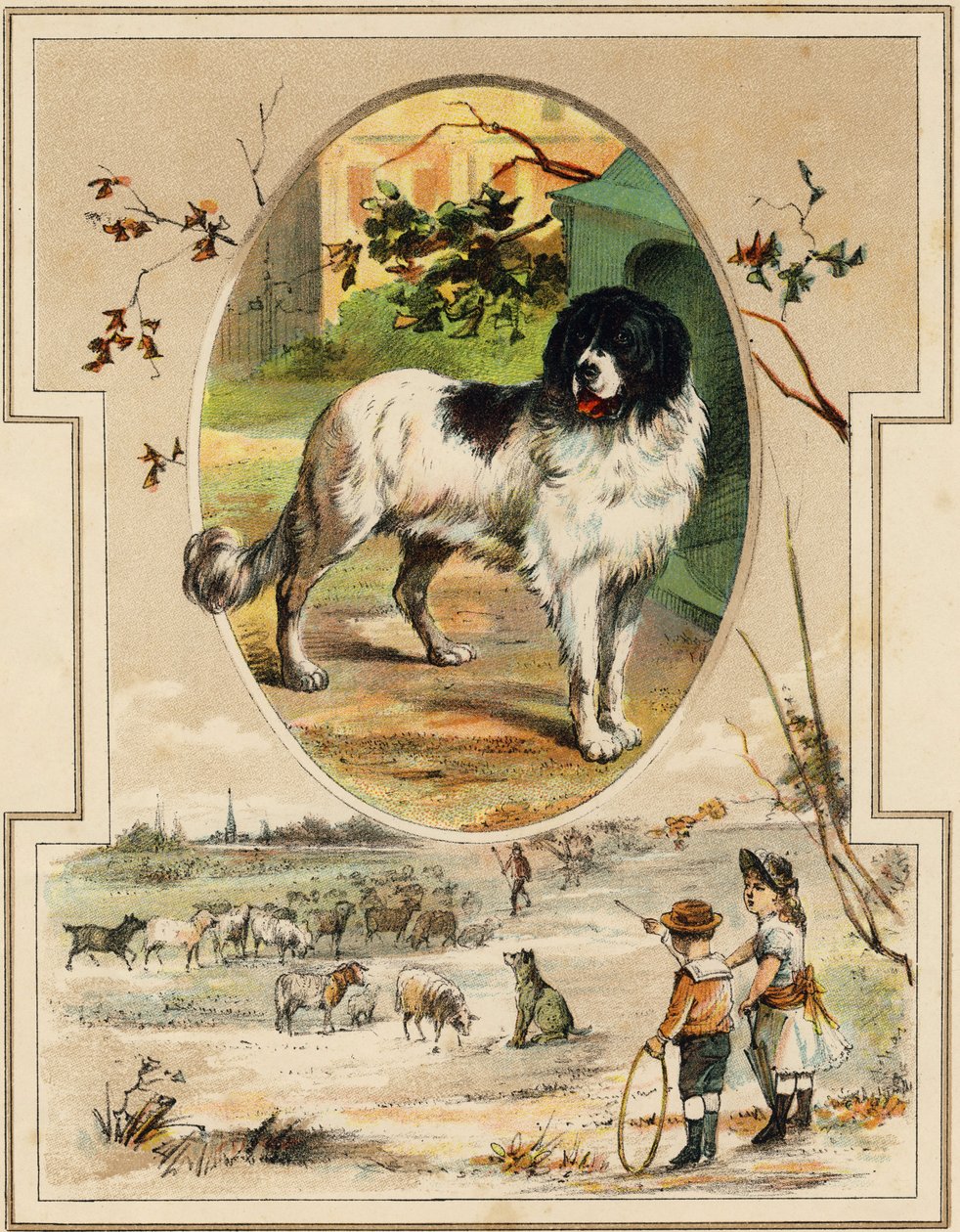 Pes. Rytina v "Mon Premier Grand Alphabet". Bernardin-Bechet Edition, Paříž, kolem roku 1890. Ilustrace A. des Lilleuls. Žádná stránka, 46 stran. Rozměr: 31 x 22 cm. od Unbekannt