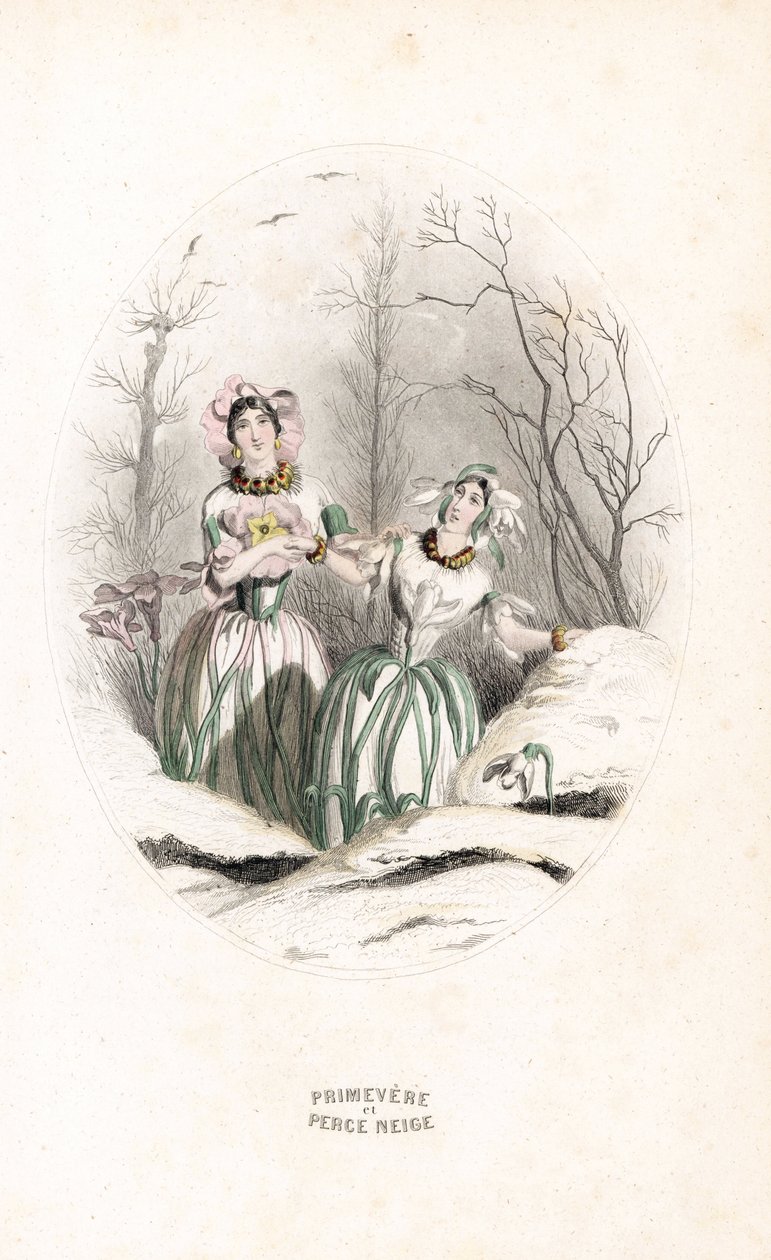 Poplatky prorážejí sníh a pramení v zasněžené krajině - Eau forte od Charlese Geoffroye (1819-1882) podle ilustrace Jeana Ignace Isidora Gerarda dit J.J.J.Granville (1803-1847) pro Les fleurs animees. od Unbekannter Künstler