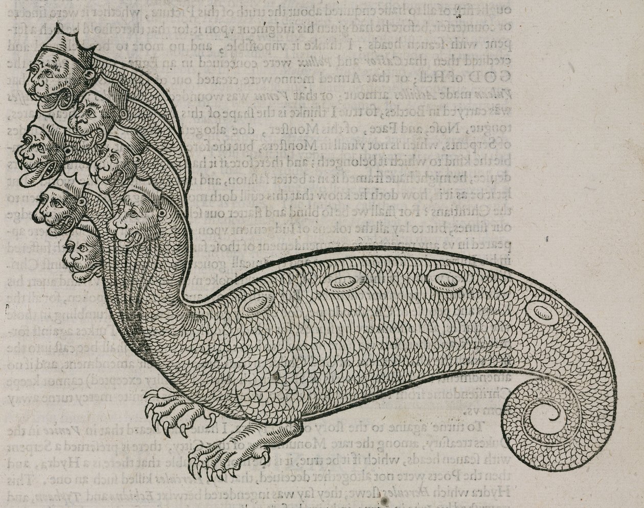 Hydra od Unbekannt