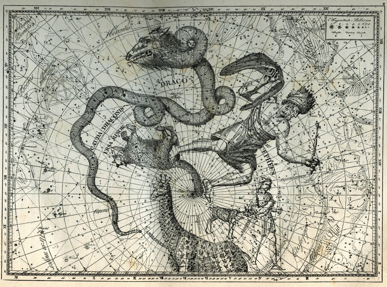 Blízká souhvězdí severního pólu: Malý medvěd, Drak, Cephee, Žirafa, Sob a Messier. Rytina z knihy Camille Flammarion „Hvězdy a další kuriozity nebe“ od Unbekannt