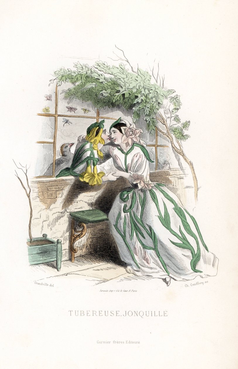 Hlízový poplatek a elfí narcis se dvoří na zahradní lavičce u zdi - Eau forte, Charles Geoffroy (1819-1882), podle ilustrace Jeana Ignace Isidora Gerarda dit J.J.Granville (1803-1847) pro Les fleurs animees. od Unbekannter Künstler