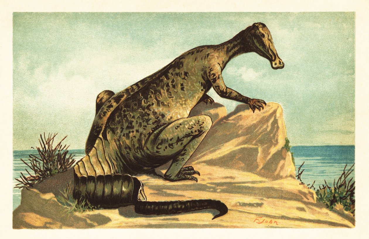 Trachodon mirabilis, vyhynulý dinosaurus hadrosaurad. 1908 (litografie) od Unbekannter Künstler