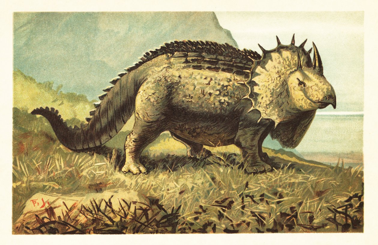 Triceratops prorsus, vyhynulý býložravý dinosaurus. 1908 (litografie) od Unbekannter Künstler