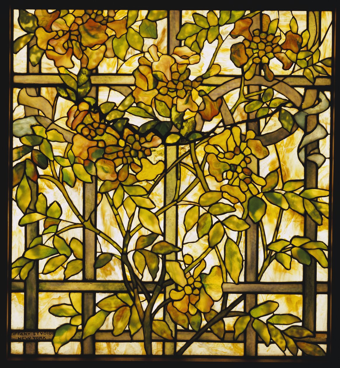 Skleněné okno Trumpet Vine, Tiffany Studios od Unbekannt