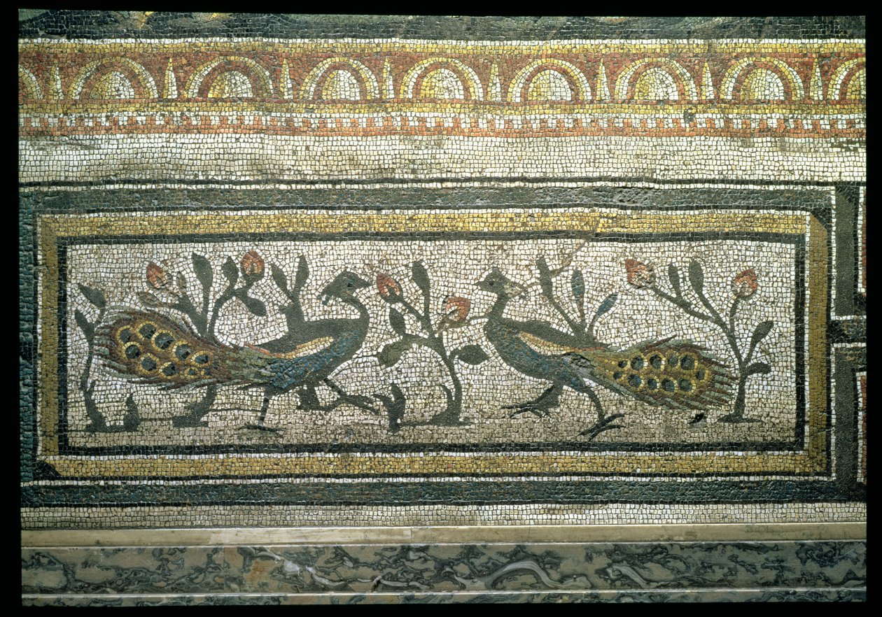 Dva pávi, dekorativní okrajový detail z mozaikové dlažby zobrazující roční období a lovecké scény, z Constantinian Villa v Daphne, Řím, kolem 325-330 nl (mramor, vápenec a skleněná mozaika) (detail 105665) od Unbekannt