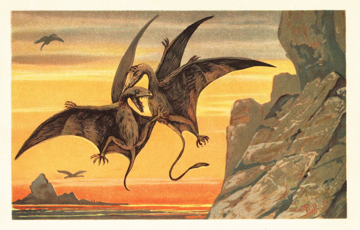 Dva pterodaktylové bojující uprostřed letu proti karmínové obloze. 1908 (litografie) od Unbekannter Künstler