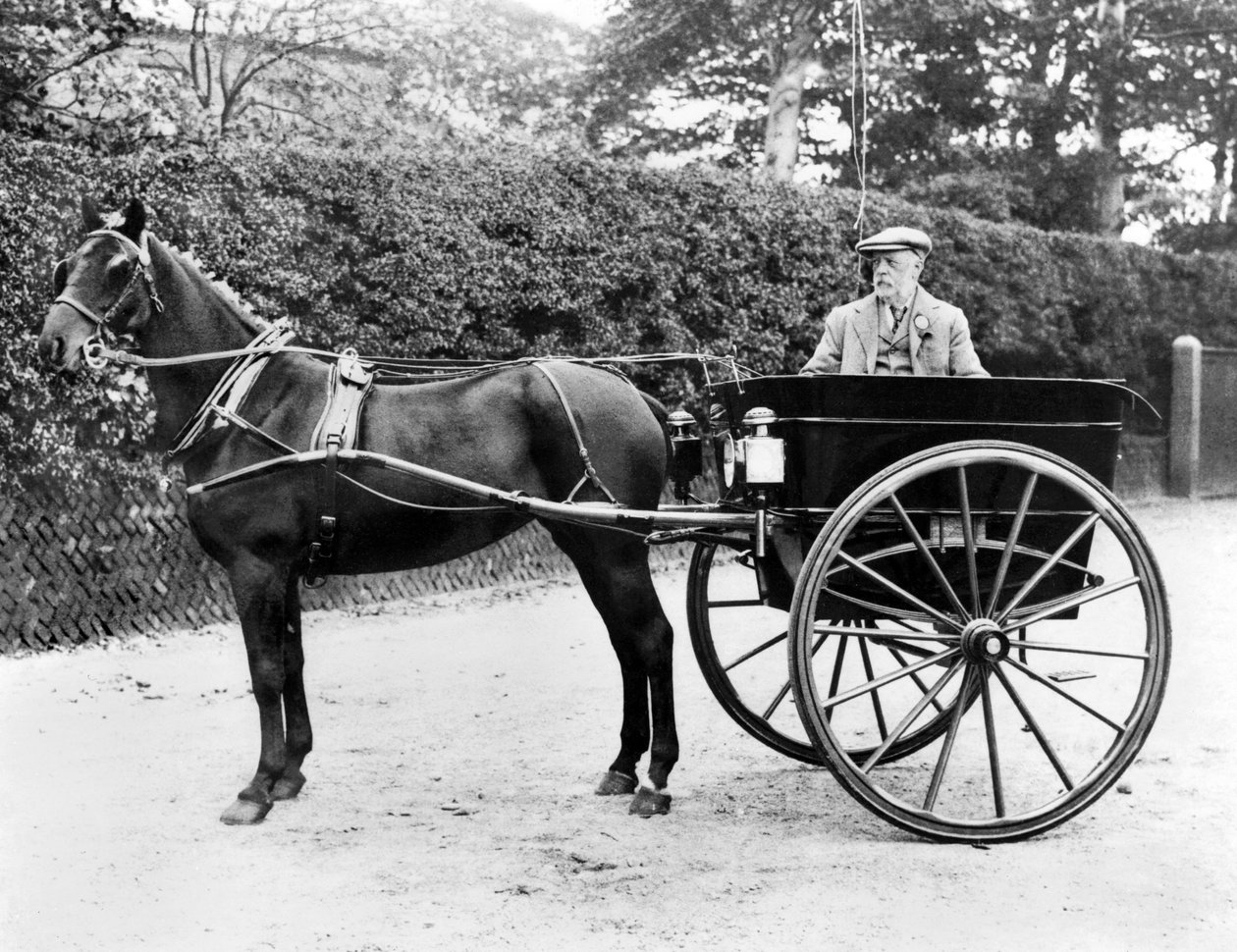 Spojené království: Kůň a past. c1905 od Unbekannt