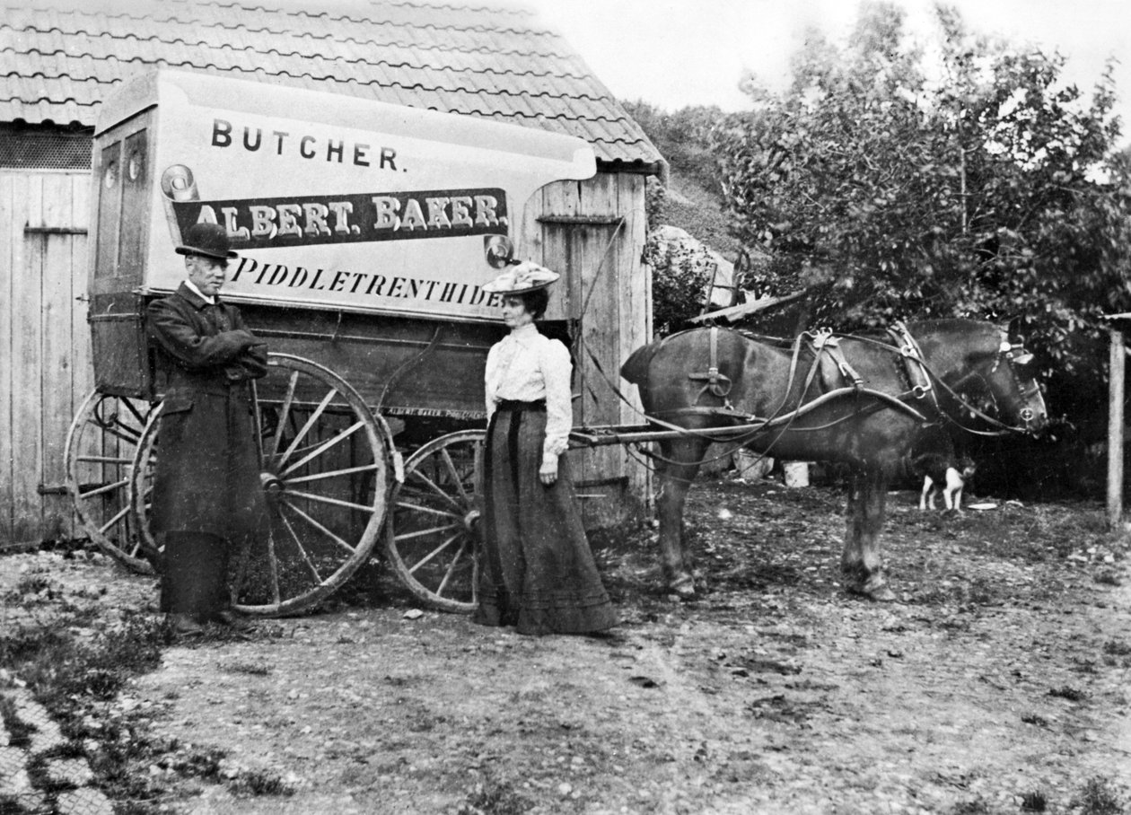 Spojené království : Řeznický vozík. Piddletrenthide, c1900 od Unbekannt