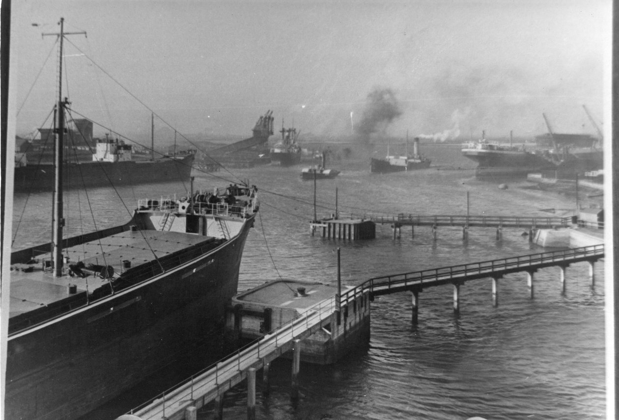 Pohled na Blyth Harbour od Unbekannt