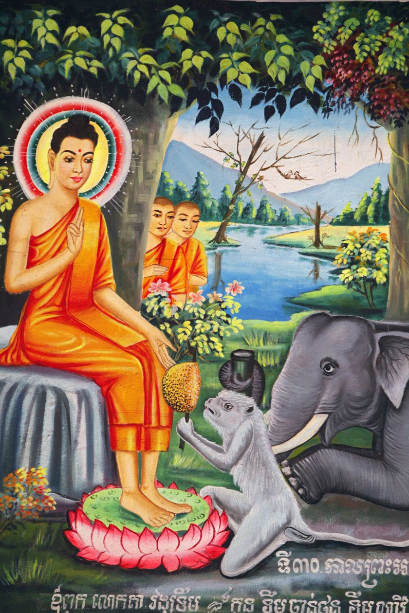 Nástěnná malba ve Wat Pitchey Udong: Scéna z Buddhova života. Buddha krmený opicí, když se postil Kampot Cambodge od Unbekannt