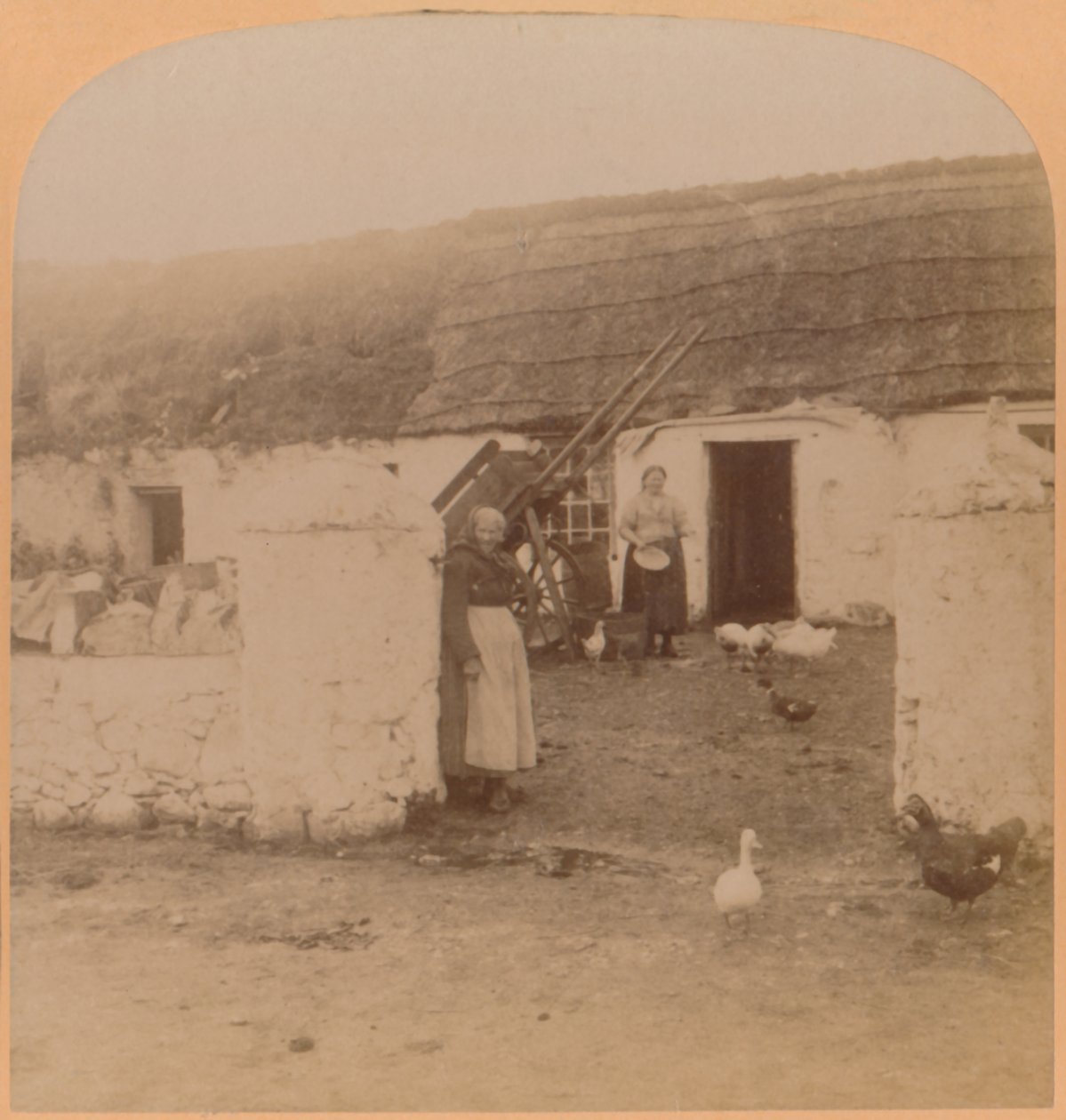 Charakteristický dům, Ballintoy Village, County Antrim, Irsko, 1900. od Underwood and Underwood