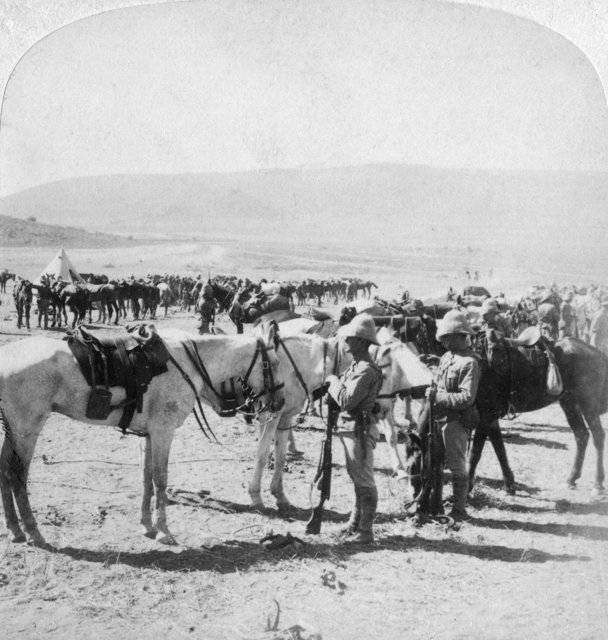 Australian Mounted Rifles po potyčce u řeky Modder, Jižní Afrika, 12. ledna 1900. od Underwood and Underwood