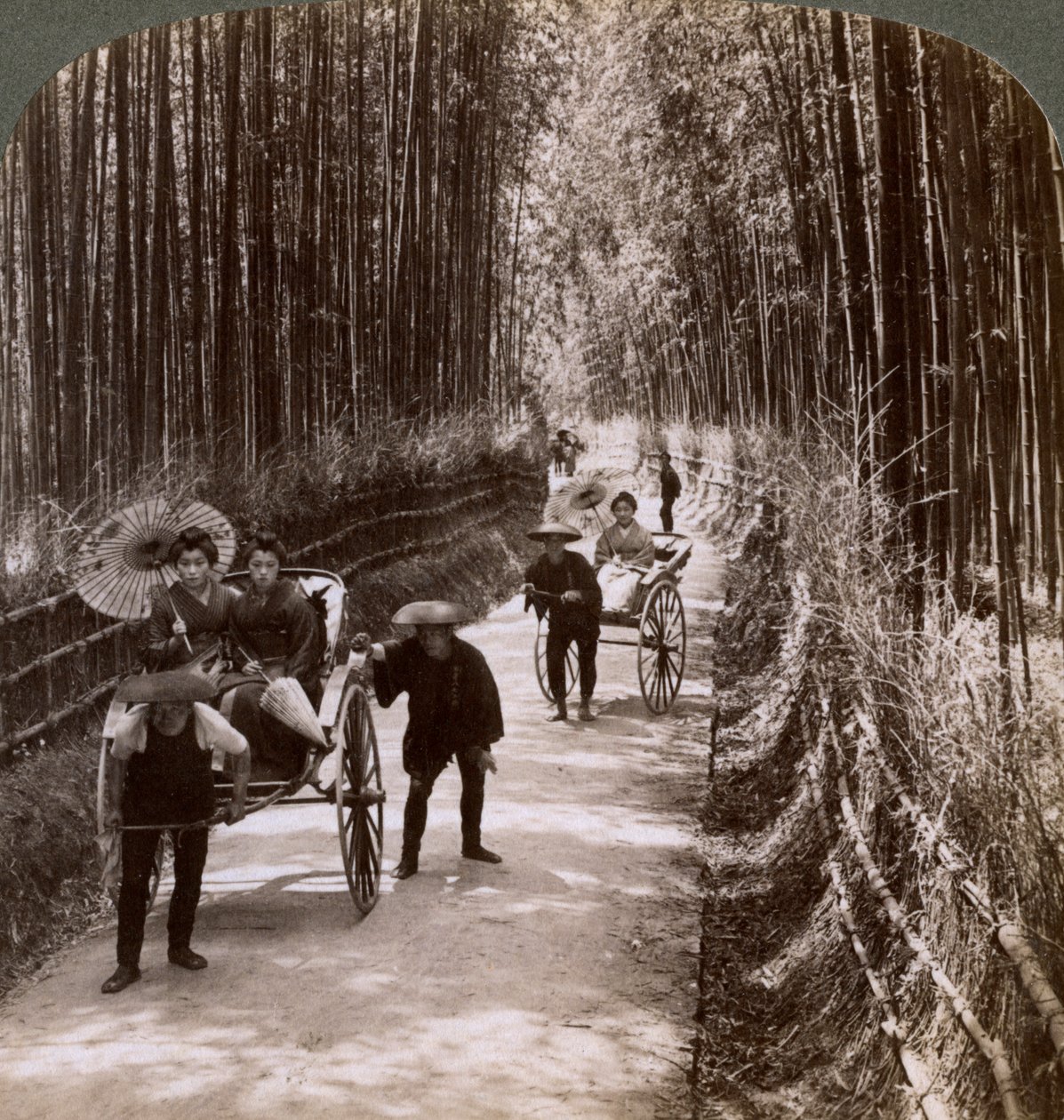 Bamboo avenue, při pohledu na jihozápad, poblíž Kiyomizu, Kyoto, Japonsko, 1904 od Underwood and Underwood