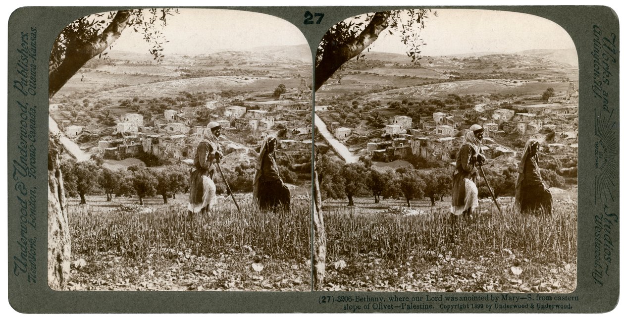 Bethany, jak je vidět z východního svahu Olivetské hory, Palestina, 1899. od Underwood and Underwood