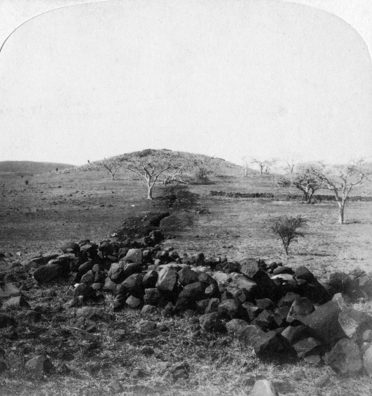 Búrské zákopy a hřeben Harts Hill, dějiště slavného útoku irských brigád, Colenso, 1901 od Underwood and Underwood