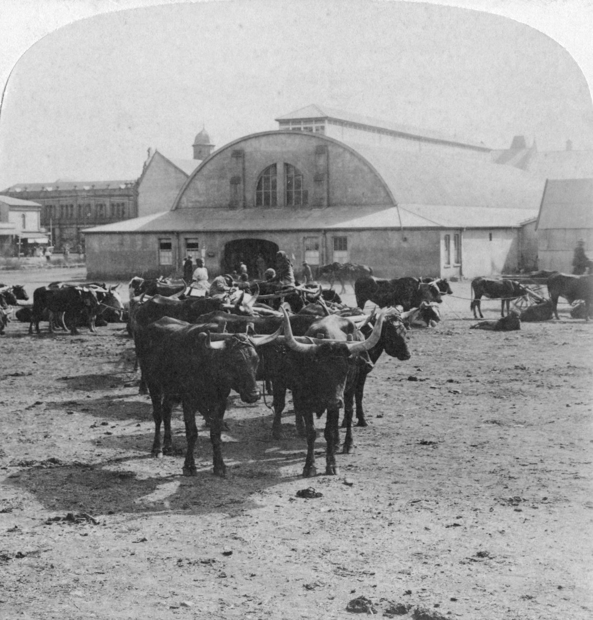 Budova, ve které byli souzeni váleční zajatci, Pretoria, Jižní Afrika, Búrská válka, 1901 od Underwood and Underwood