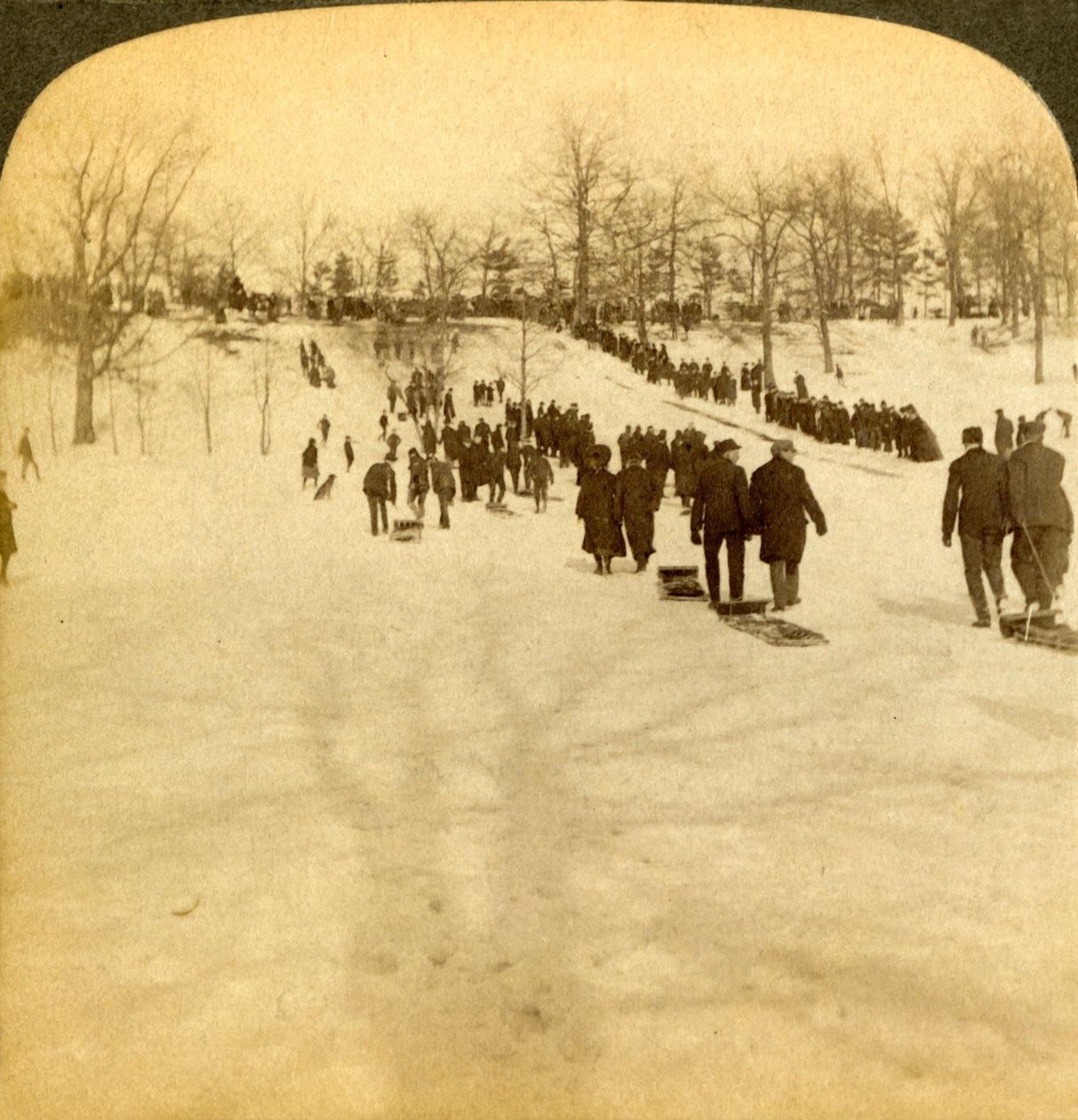 Kanadské zimní sporty - sáňkování, 1905. od Underwood and Underwood
