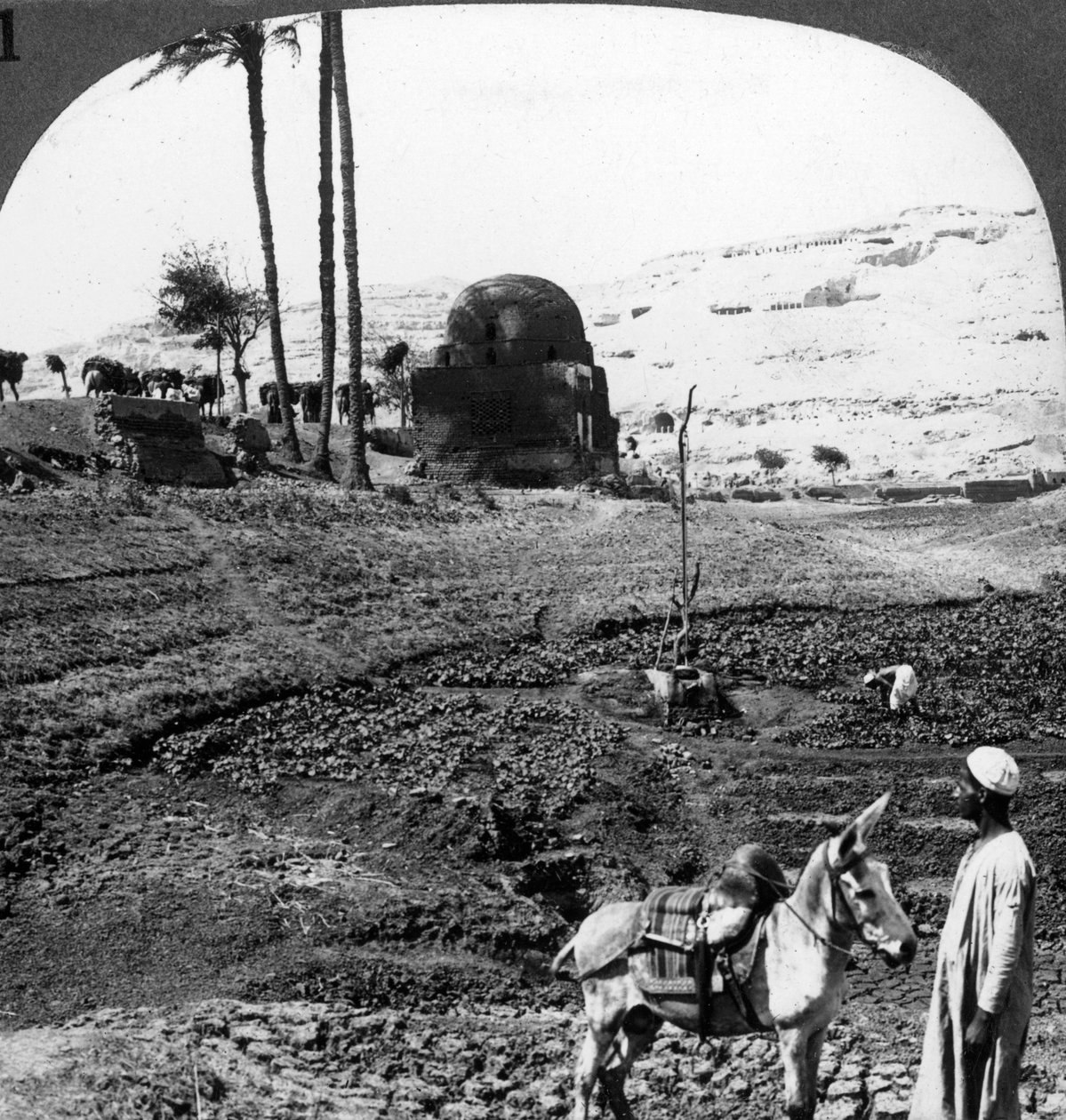 Útesové hrobky pánů z Assiutu, Egypt, 1905. od Underwood and Underwood