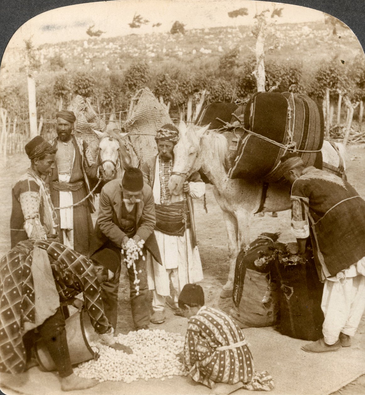 Odborníci nakupující hedvábné kokony pro export do Francie, Antiochie, Sýrie, 1900. od Underwood and Underwood