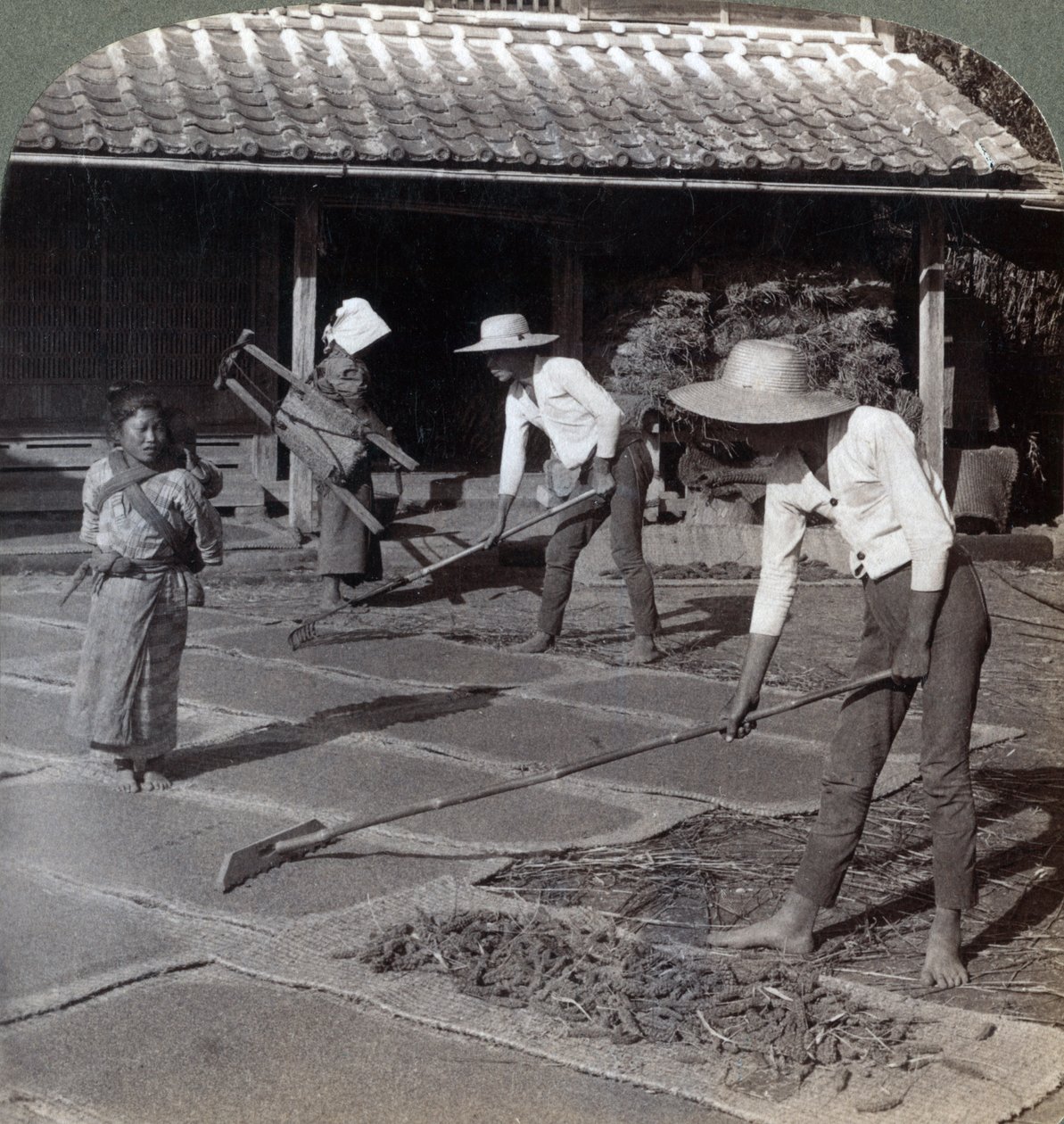 Farmáři s bambusovými hráběmi rozprostírají proso na rohože k sušení na zimu, poblíž Jokohamy, Japonsko, 1904 od Underwood and Underwood