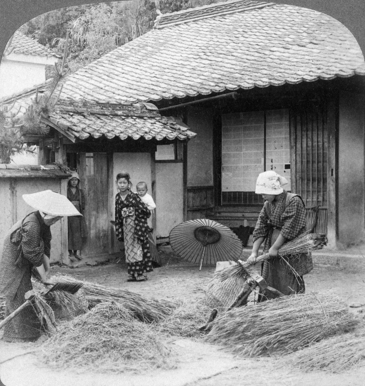 Farmářské manželky při práci, Iwakuni, Japonsko, 1904. od Underwood and Underwood