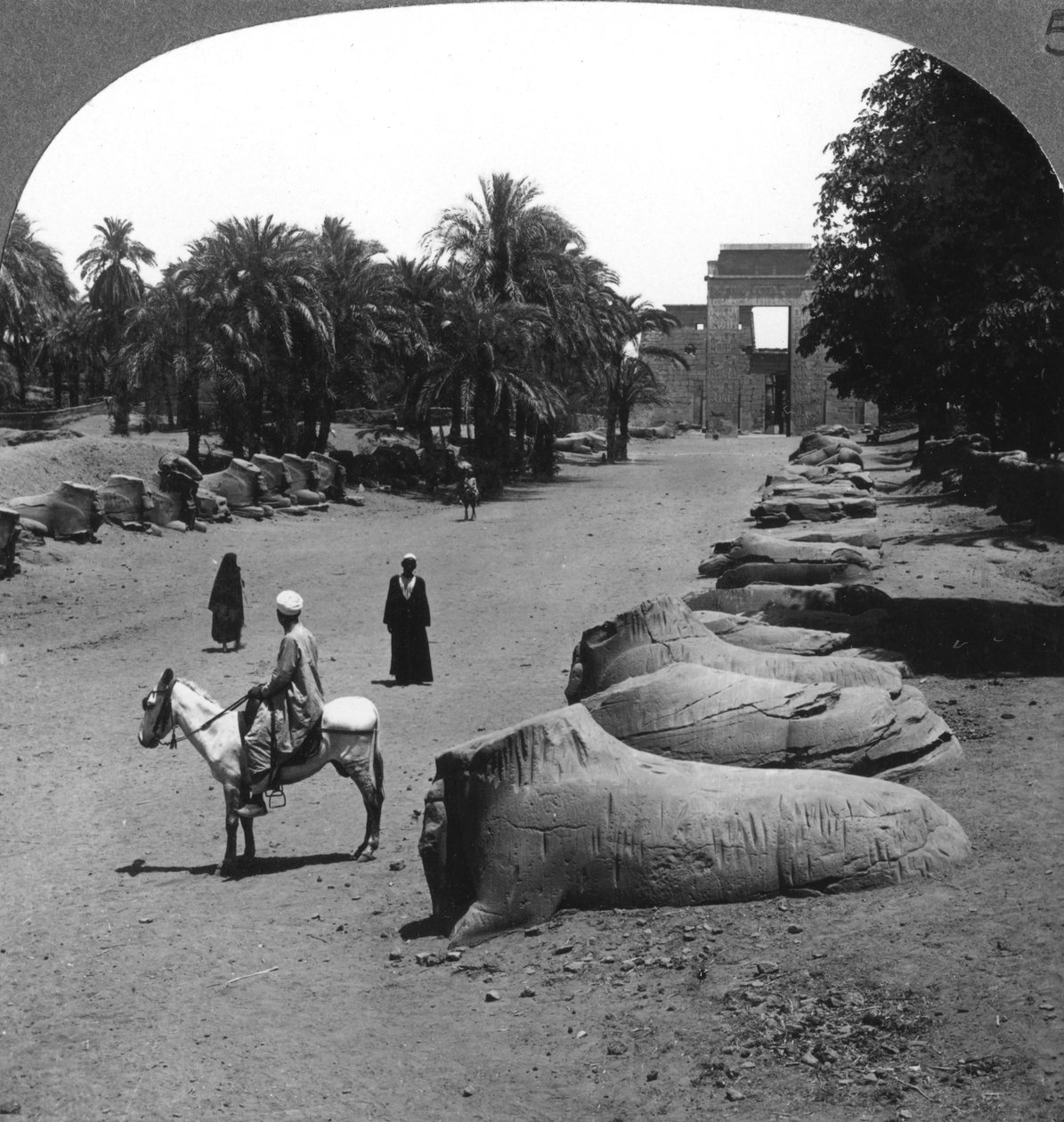 Velká třída blížící se k chrámu v Karnaku, Théby, Egypt, 1905. od Underwood and Underwood