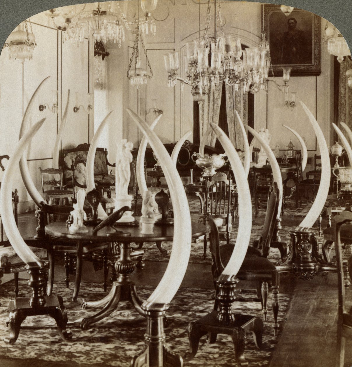 Hall of Tusks, v domě Lady de Soysa, Bambalapitiya, Colombo, Ceylon, 1903 od Underwood and Underwood