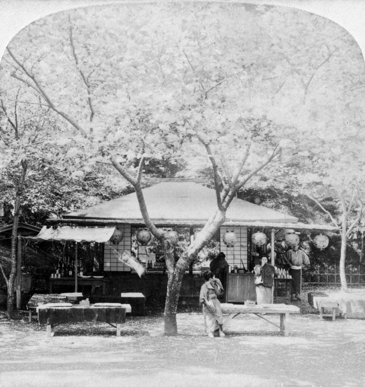 V srdci květinové říše, Nara, Japonsko, 1896. od Underwood and Underwood