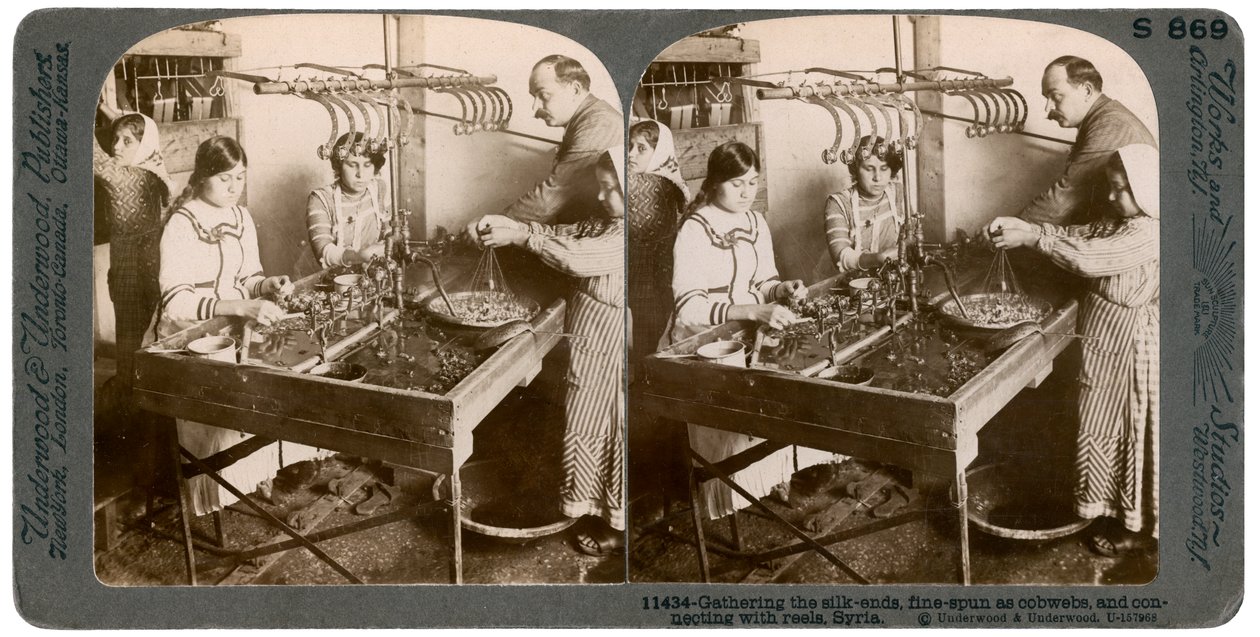 Výroba hedvábí, Sýrie, 1900s. od Underwood and Underwood