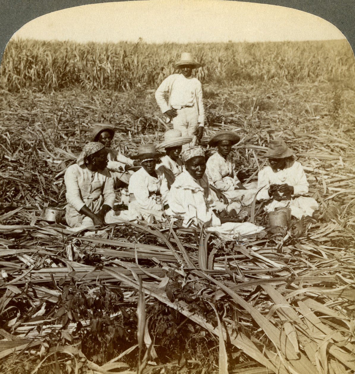 Na cukrové plantáži La Union, San Luis, provincie Santiago, Kuba, 1899. od Underwood and Underwood