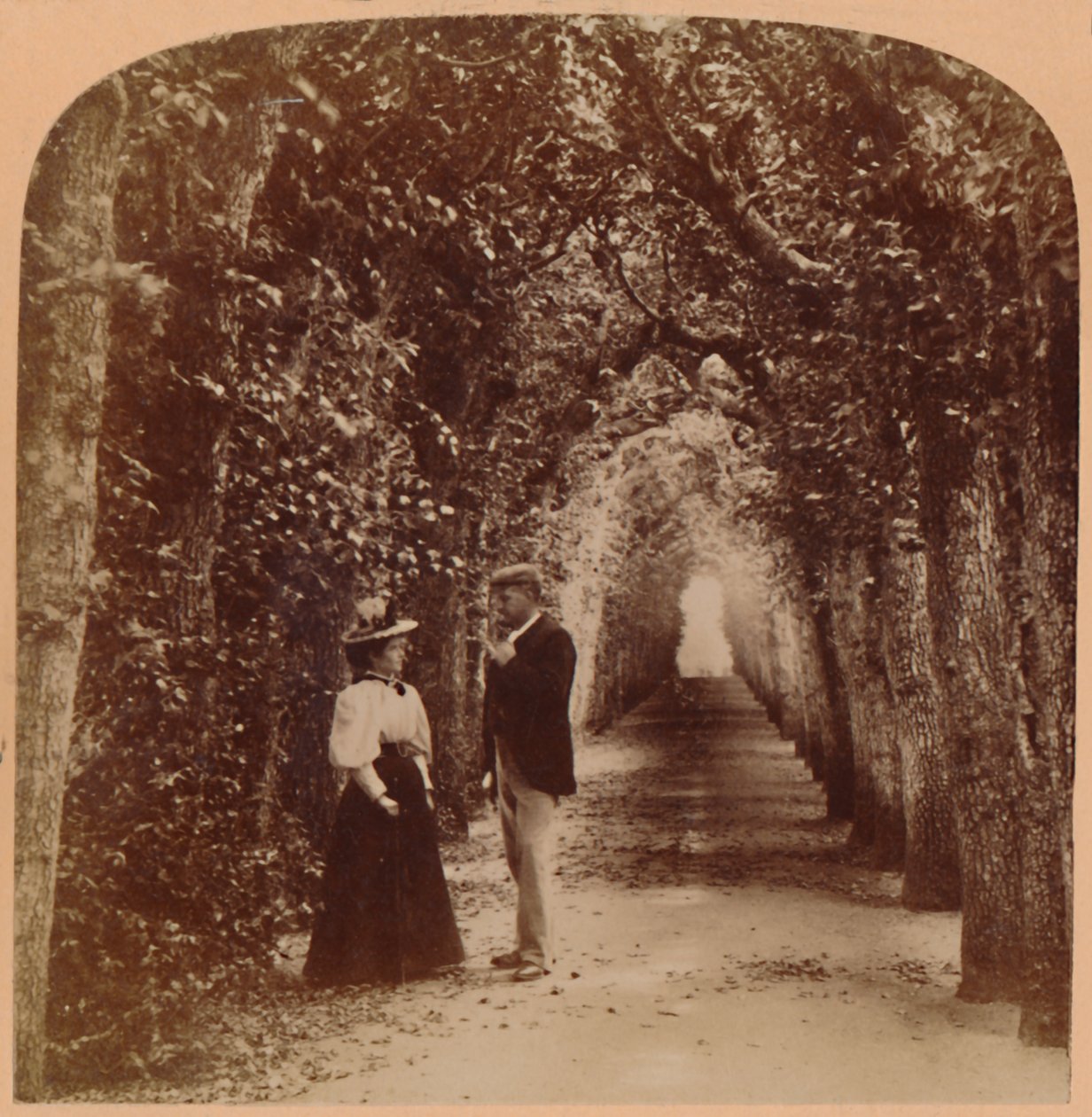 Queen Marys Bower, Hampton Court, Londýn, Anglie, 1896. od Underwood and Underwood
