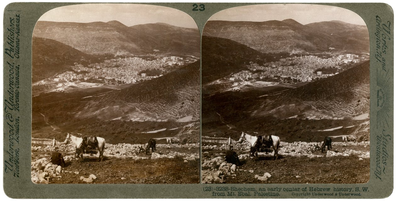 Shechem, jihozápadně od hory Ebal, Palestina, 1900. od Underwood and Underwood