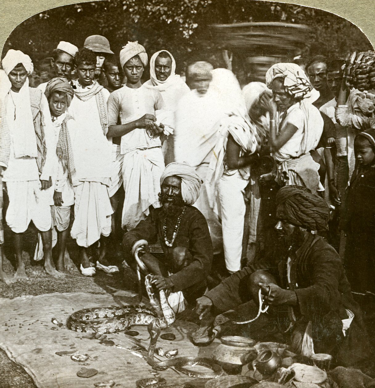 Zaříkávač hadů, Kalkata, Indie, 1900. od Underwood and Underwood