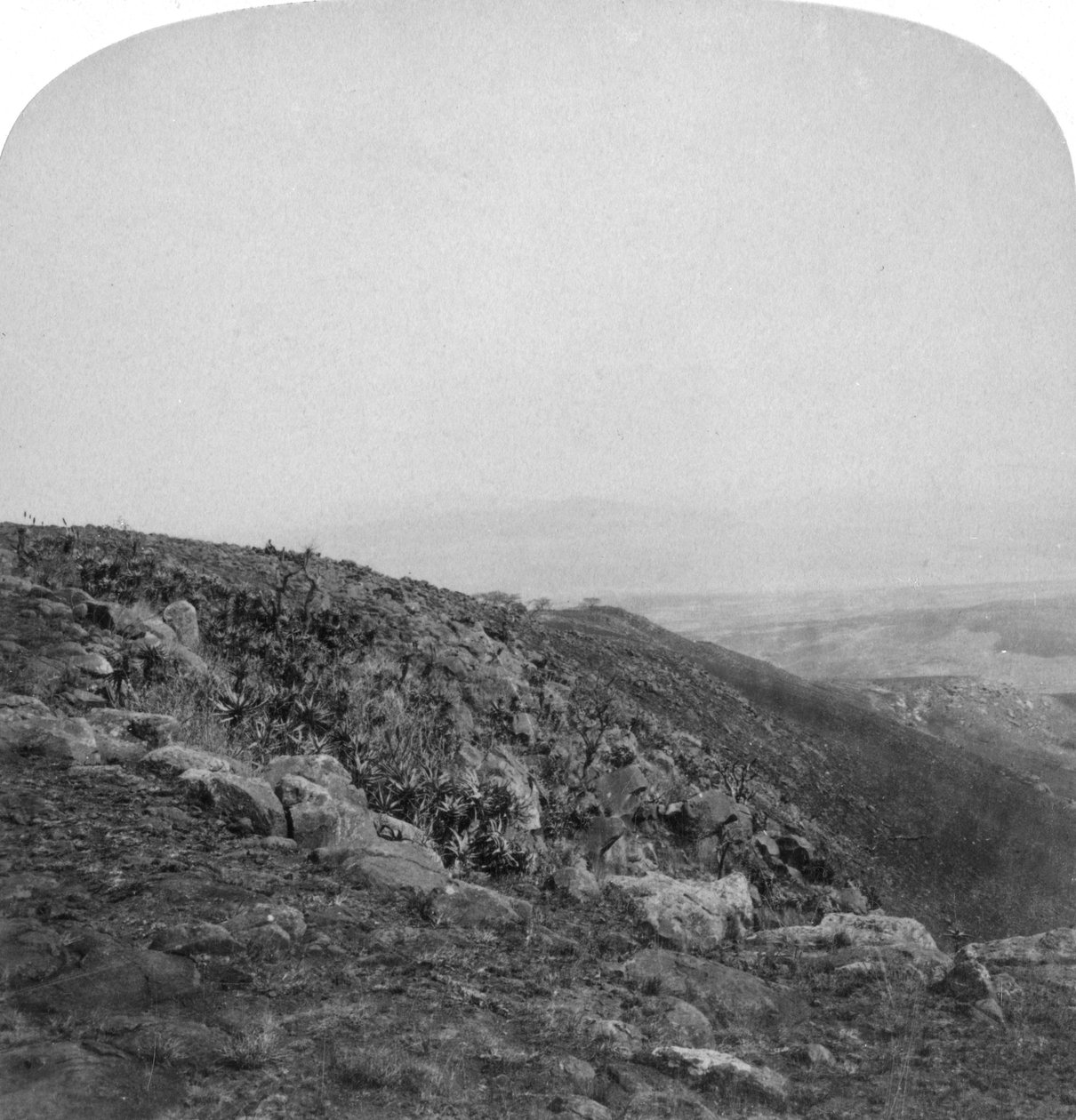 Jižní svah Spion Kop, Jižní Afrika, Búrská válka, 1901. od Underwood and Underwood